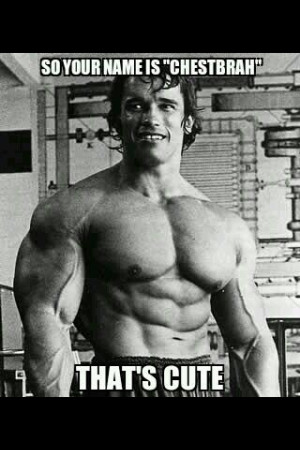 Arnold Schwarzenegger Bodybuilding Wallpaper Quotes Arnold ...