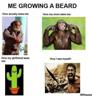 Funny Beard Meme Grow a beard - funny