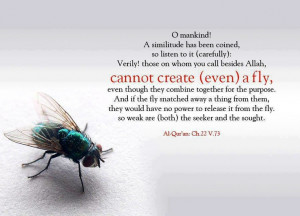 mankind! A similitude has been coined, so listen to it (carefully ...