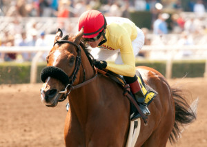 KONA GOLD STAKES QUOTES