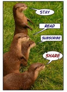 Four otters curious about funny inspirational quotes