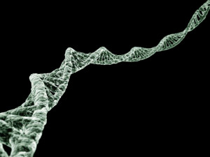 Dna Papel De Parede Wallpaper with 1024x768 Resolution