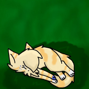 Displaying 20> Images For - Brightheart And Cloudtail Mating...