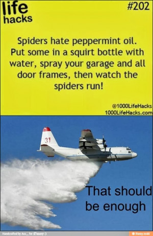 Spiders Hate Peppermint Oil