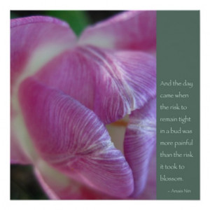 anais nin friendship quotes