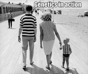genetics, funny pictures