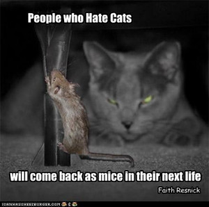 ... Hate Cats Will Come Back As Mice In Their Next Life. - Faith Resnick