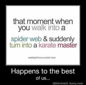 ... you walk into a spiders web and suddenly turn into a karate master