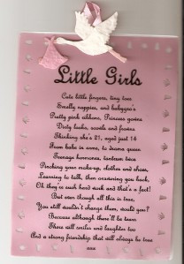 Details about HAND MADE BIRTH CONGRATULATION S SCROLL BABY GIRL FUNNY