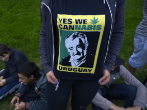 Jose Mujica Quotes Pot