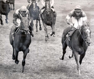 Door, Window & Cabinet Hardware