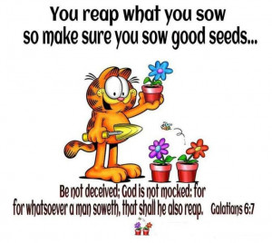 you reap what you sew quotes | You reap what you sow