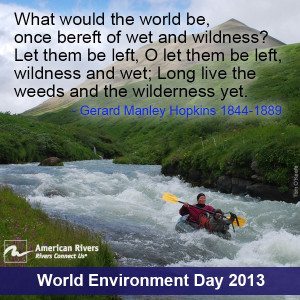 What would the world be, once bereft of wet and wildness? Let them be ...