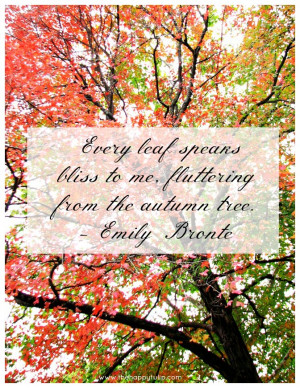 Happy Weekend Fall Happy weekend!