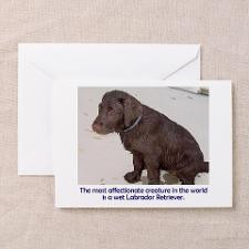 Wet Lab Puppy Greeting Cards (Pk of 10) for