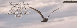 You were Born with Wings Rumi Fb Cover