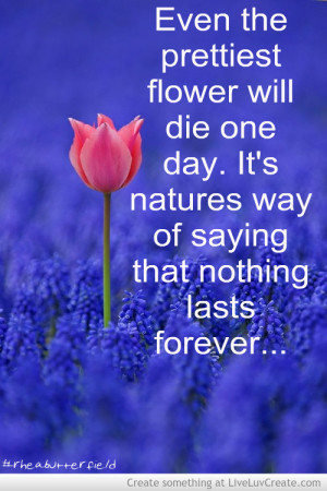 nothing_lasts_forever_xoxo-201476.jpg?i