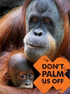 government has said it is committed to protecting orangutans ...