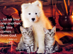 ... Quotes About Loving God: Quotes About Loving God And Picture Of Dog