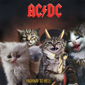 30 copertine di album storici con gattini al posto di cantanti