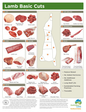 lamb meat cuts diagram