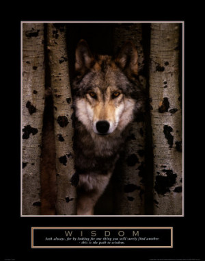 Motivational / Inspirational Posters - Wisdom - Gray Wolf