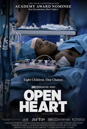 Open Heart di Kief Davidson, Emergency a Vimercate