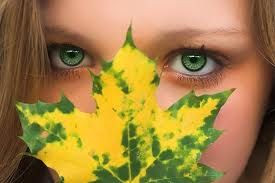 quotes about green eyes - Google Search