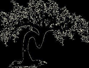 Category Inspiration