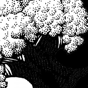 back phone for details about usage rights and fees 636 349 1145