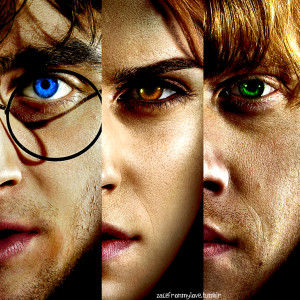 Harry-Potter-Golden-Trio-harry-potter-23741599-755-755.png