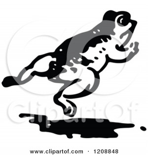 Vintage Black And White Frog