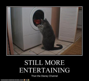 funny photos funny pictures funny pictures 2013 funny quotes funny