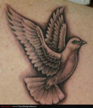 Dove Tattoos bird