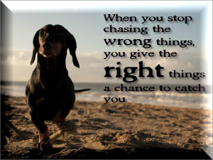 whitney houston karaoke store