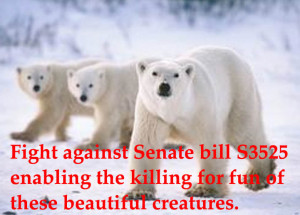 urge the site’s visitors to email the Senate of the United States ...