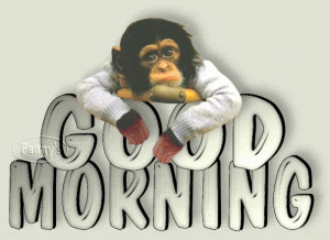 Good Morning Monkey Image