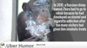 Coast Guard rescues man who said he was running to Bermuda