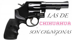 Puro Chihuahua Picture