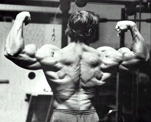 Top 10 Arnold Schwarzenegger Quotes