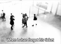 Quand LuHan oublie son billet Quand LuHan était perdu