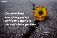 You never know how strong you are until being strong is the only ...