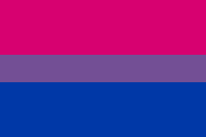 The Bi Flag was unveiled in 1998 by Michael Page