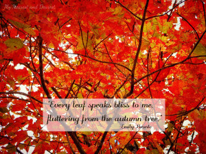 ... quotes with beautiful fall photos. I love this one about autumn leaves