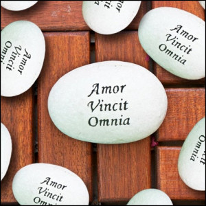 engraved pebbles have a short quote engraved on pebbles and scatter ...