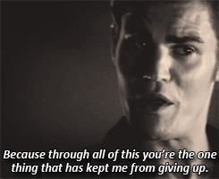 Quotes from Stefan Salvatore: