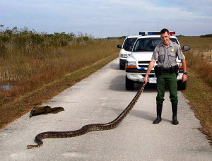 very adventurous when it comes to food, that's for sure,” owner ...