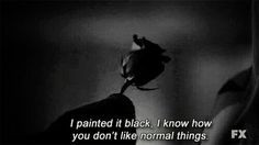 ... stories quotes3 murder house american horror stories stories quotes