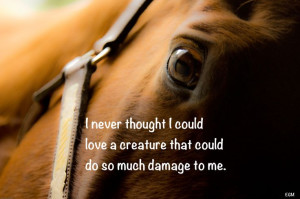 ... thank so either but I have lost a horse that meant so much yesterday