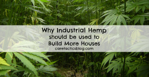 Why industrial hemp should be used to build more houses ...